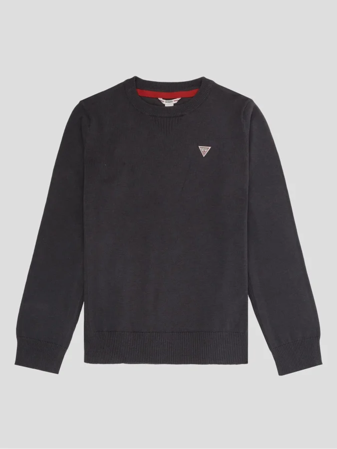 GUESS - LS SWEATER_CORE