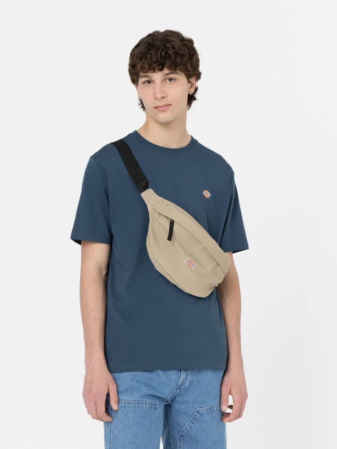 Dickies - DUCK CANVAS CROSS... 2