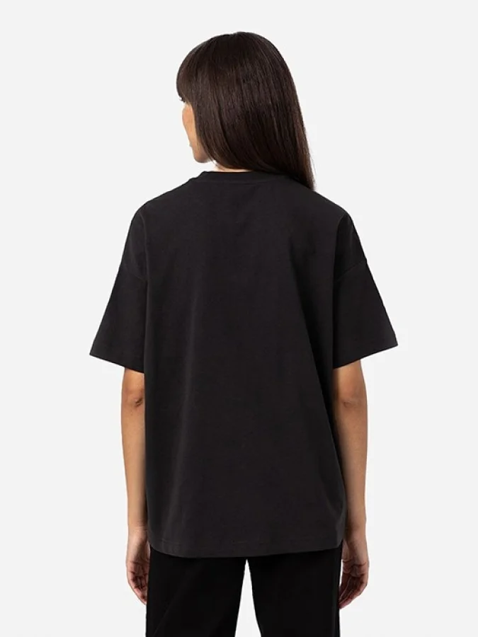 Dickies - SUMMERDALE SS TEE... 2