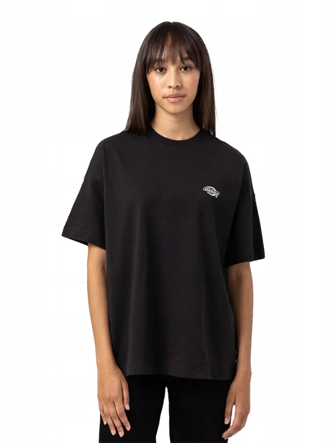 Dickies - SUMMERDALE SS TEE...
