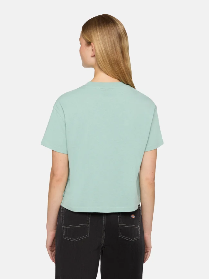 Dickies - OAKPORT BOXY SS... 2