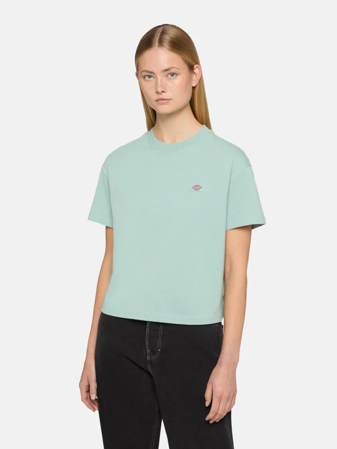Dickies - OAKPORT BOXY SS...