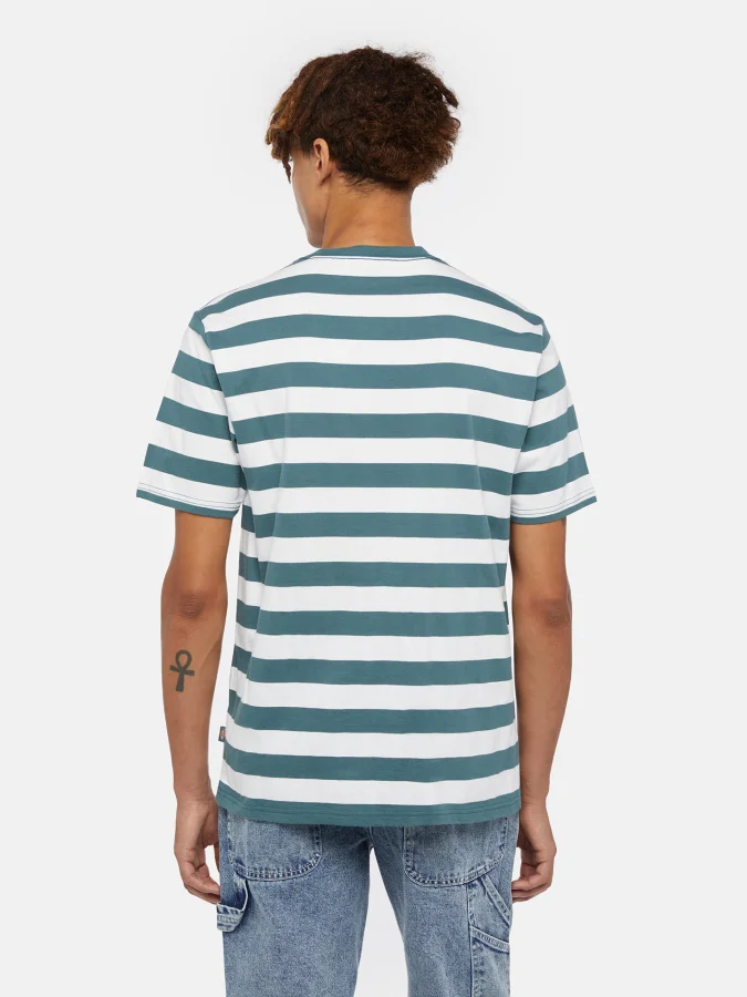 Dickies - RIVERGROVE SS TEE... 2