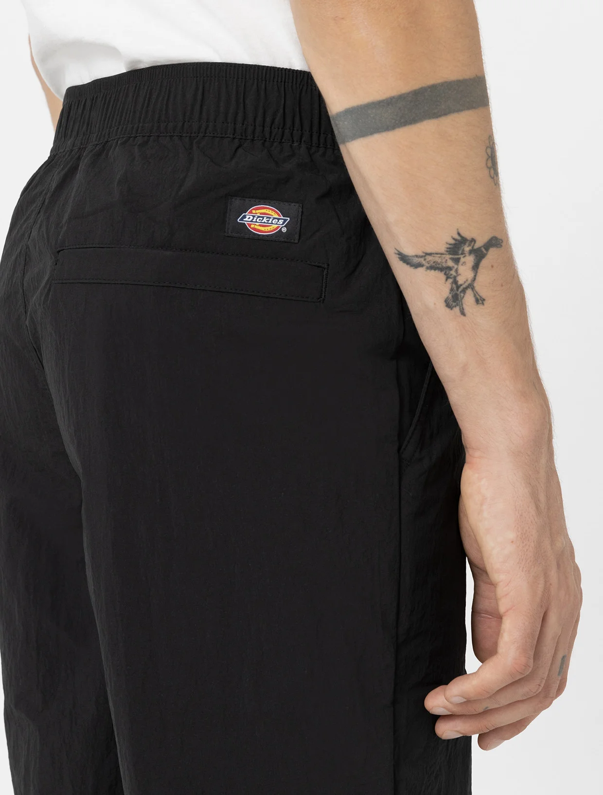 Dickies - JACKSON CARGO PANT BLACK Dickies - JACKSON CARGO PANT BLACK