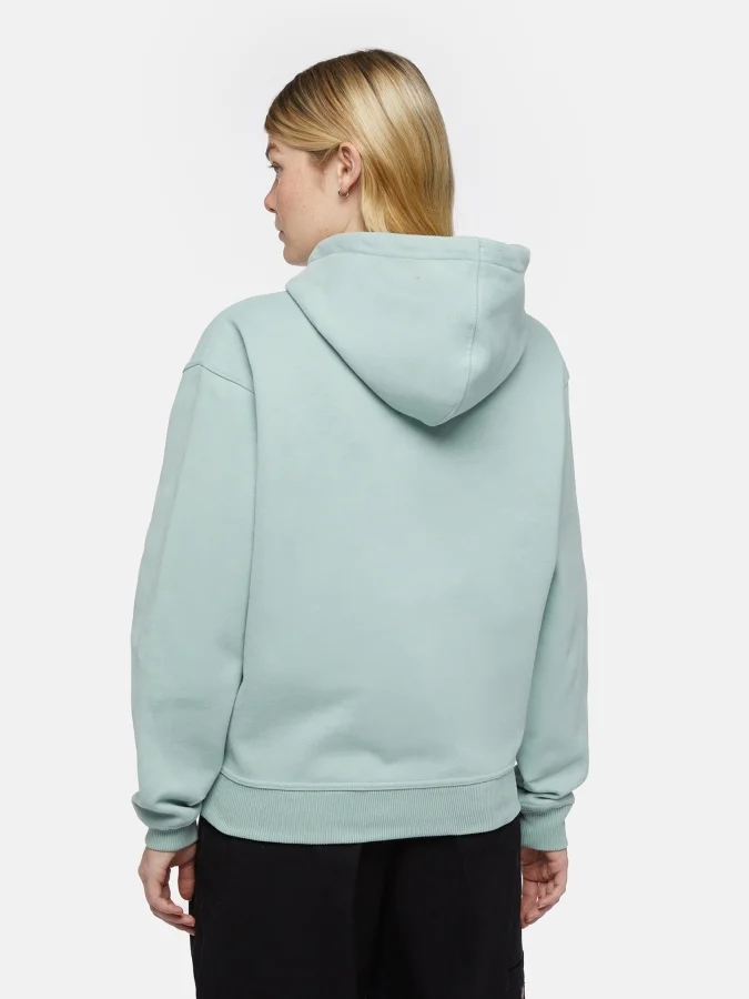 Dickies - CLANCY HOODIE W... 2
