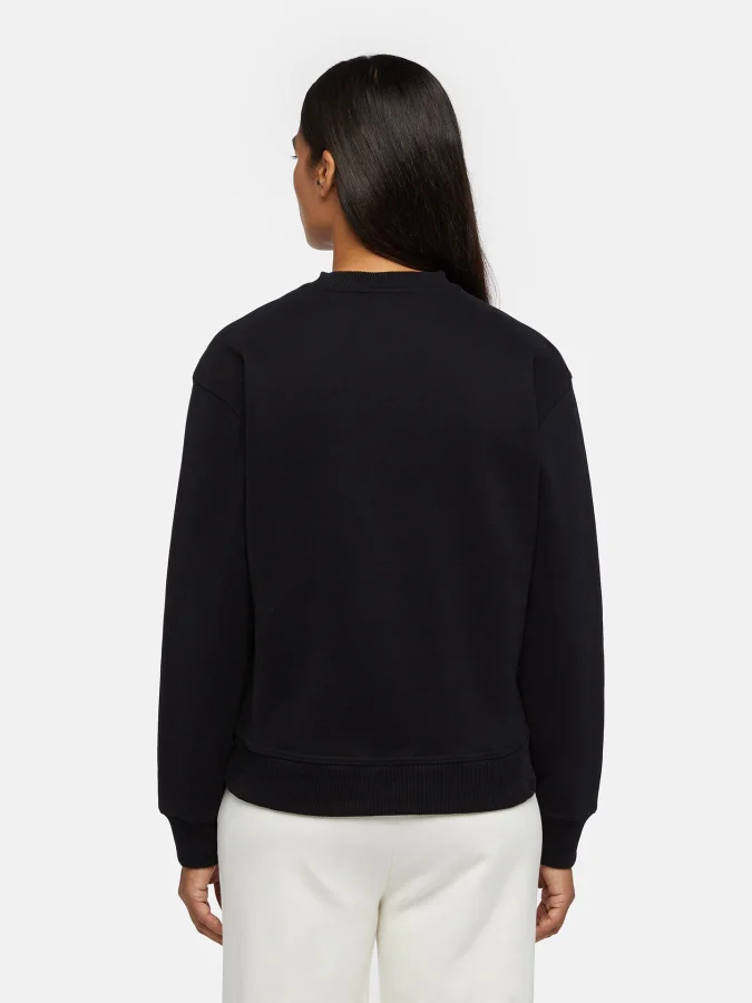 Dickies - CLANCY SWEATSHIRT W 2