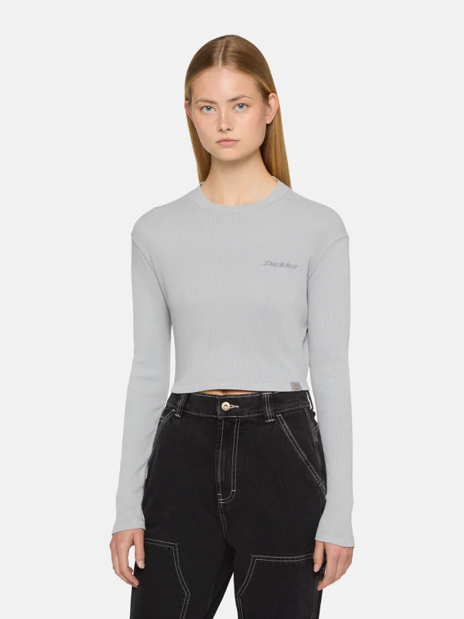 Dickies - PLENTYWOOD TEE LS...