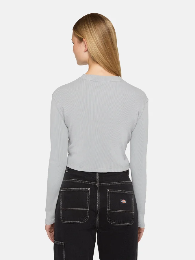 Dickies - PLENTYWOOD TEE LS... 2