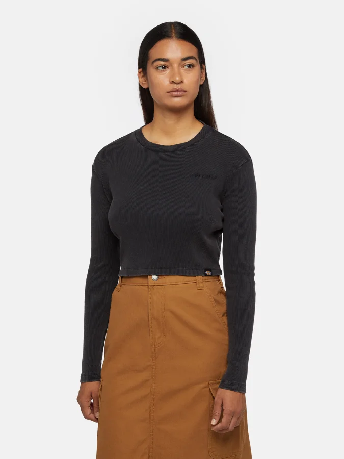 Dickies - PLENTYWOOD TEE LS...