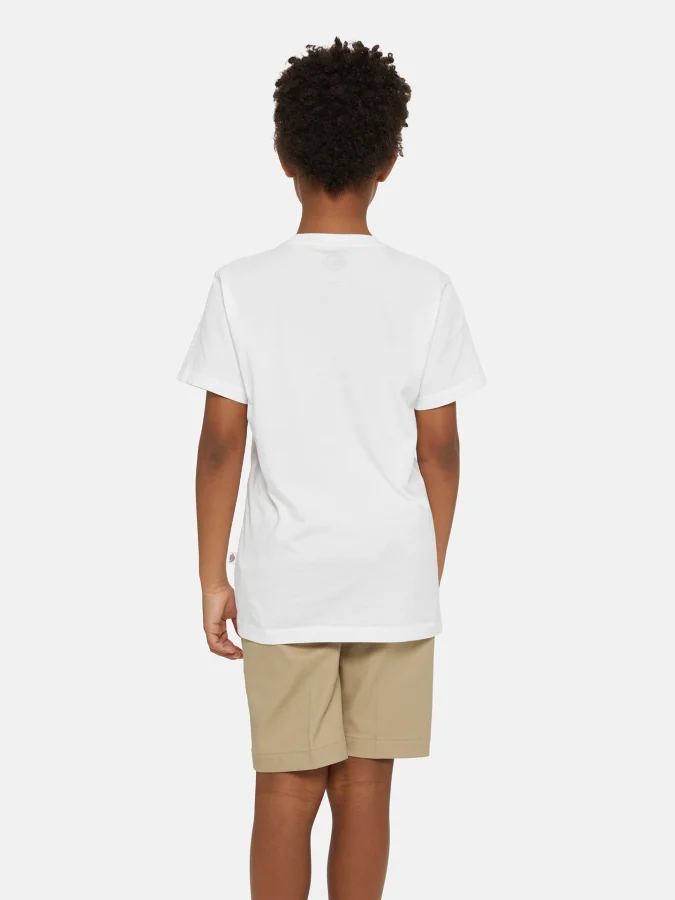 Dickies - YOUTH MAPLETON... 2
