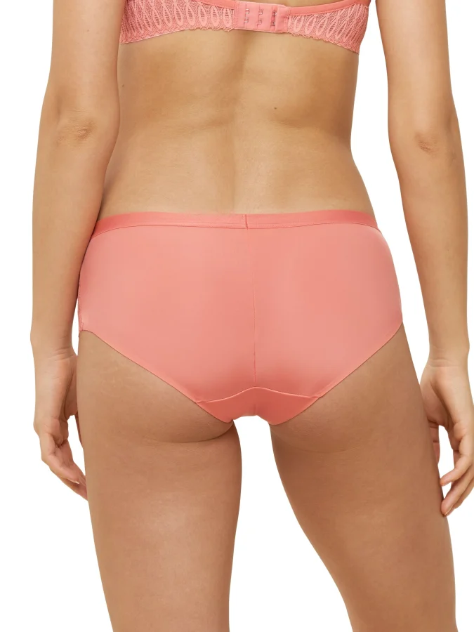 Triumph - Aura Spotlight Maxi 2