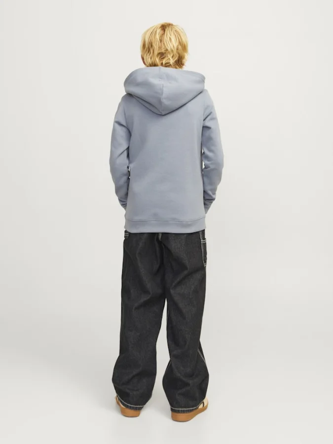Jack&Jones Junior - JJIALEX... 2