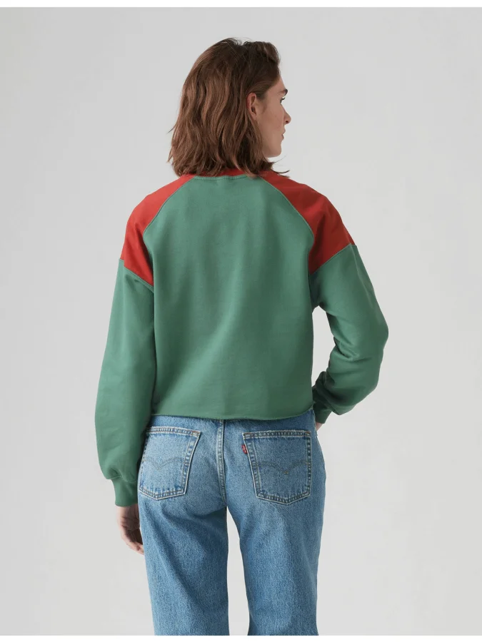 Levis® - Graphic Campout Crew 2