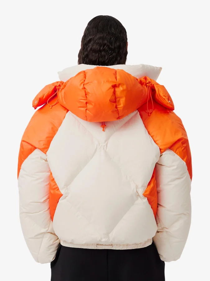 Lacoste - PARKAS & BLOUSONS 2