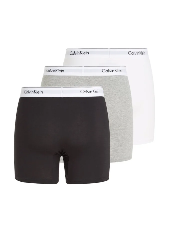 CALVIN KLEIN UNDERWEAR -... 2