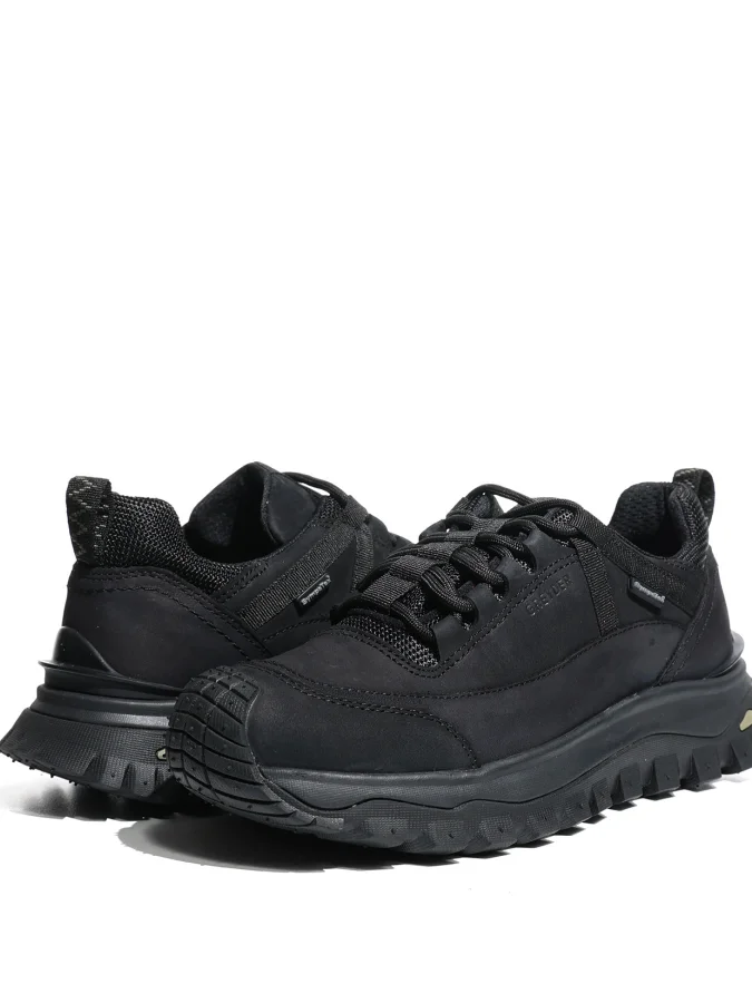 GREYDER 2