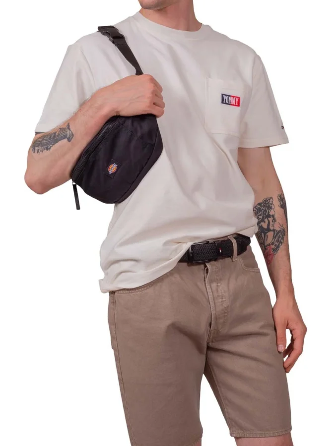 Dickies - BLANCHARD 2