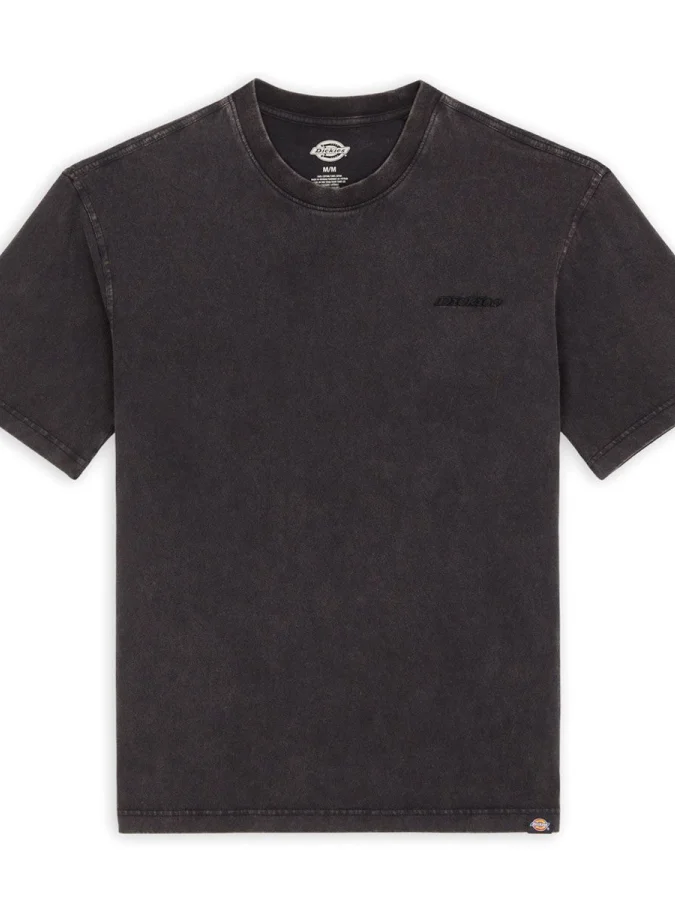 Dickies - PLENTYWOOD SS TEE... 2