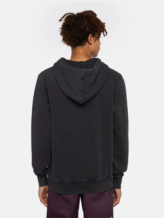 Dickies - PLENTYWOOD HOODIE 2