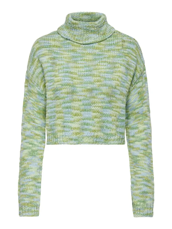 ONLY - ONLELOISE LS CROP...