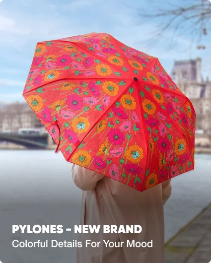 ds-pylones