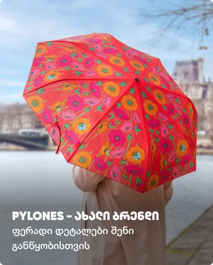 ds-pylones